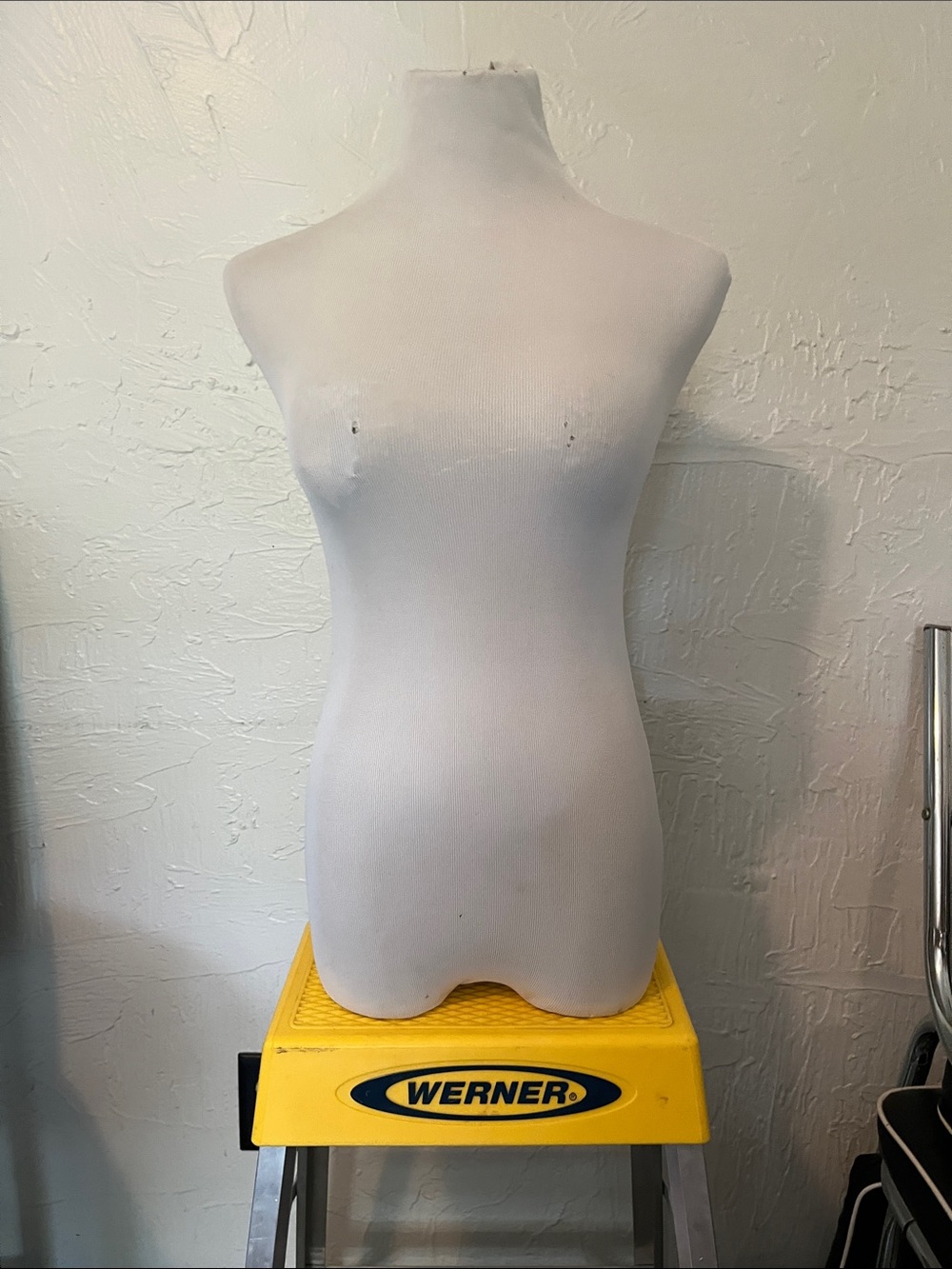 Neutral Torso Dress Form in Light Beige